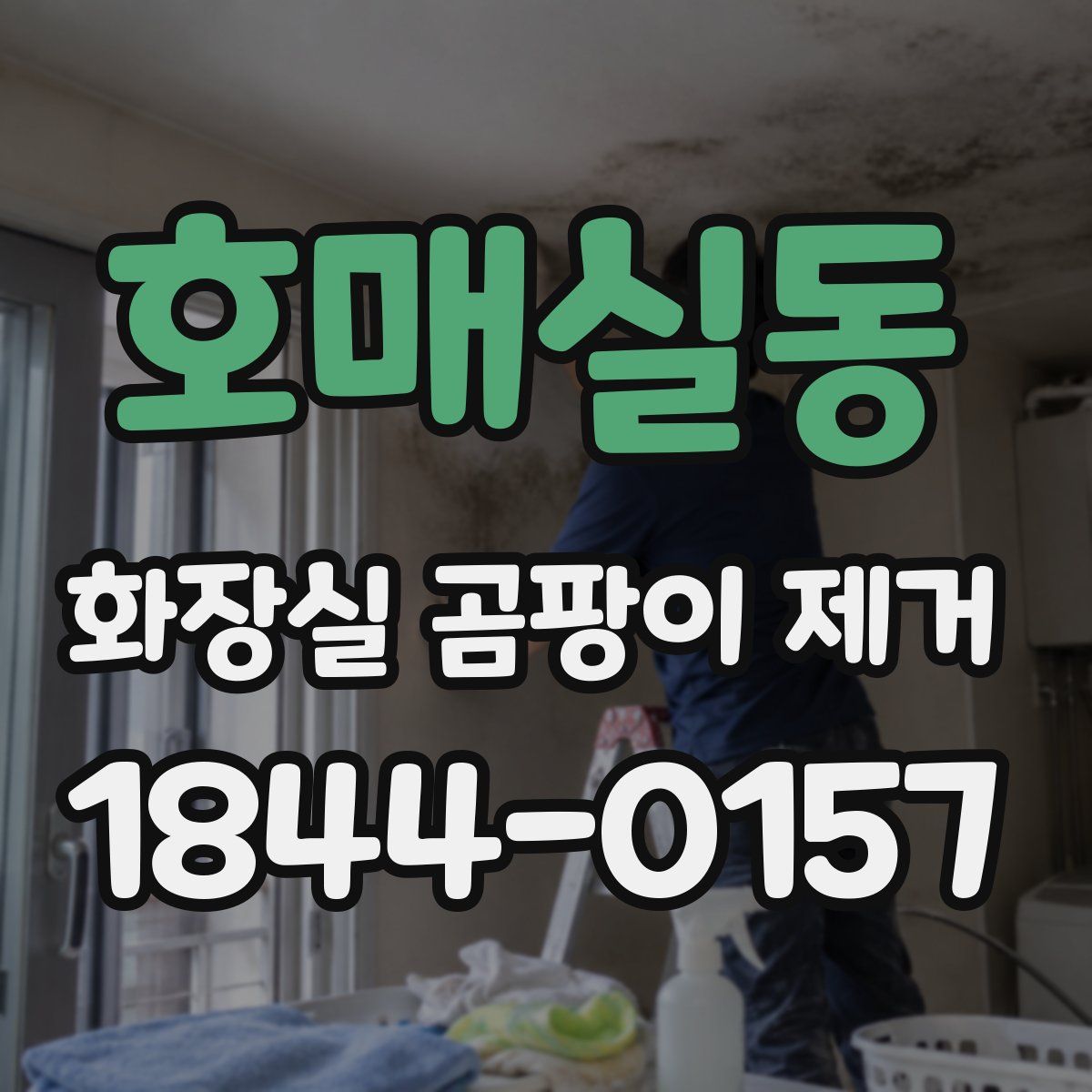 호매실동 화장실 곰팡이 제거