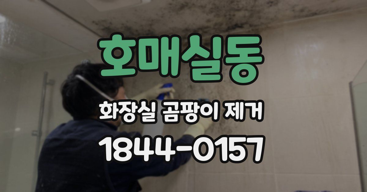 호매실동 화장실 곰팡이 제거