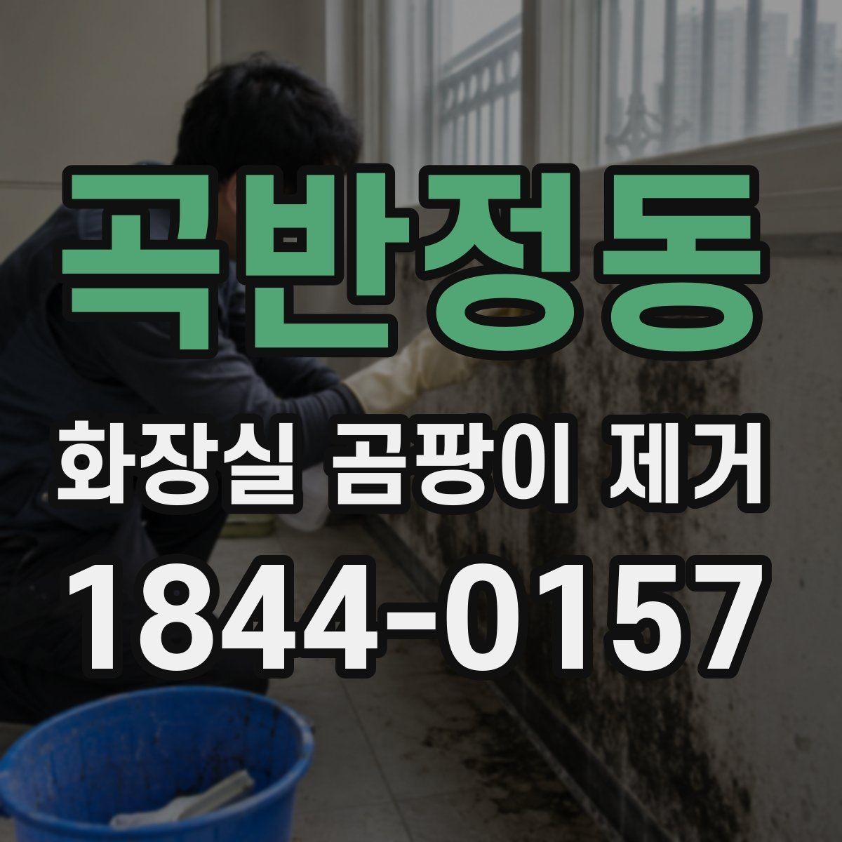 곡반정동 화장실 곰팡이 제거 벽 타일과 바닥재별 닦는 요령 비교