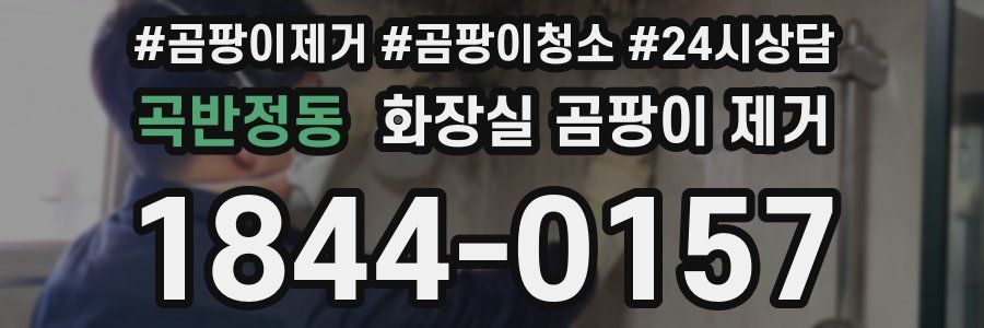 곡반정동 화장실 곰팡이 제거