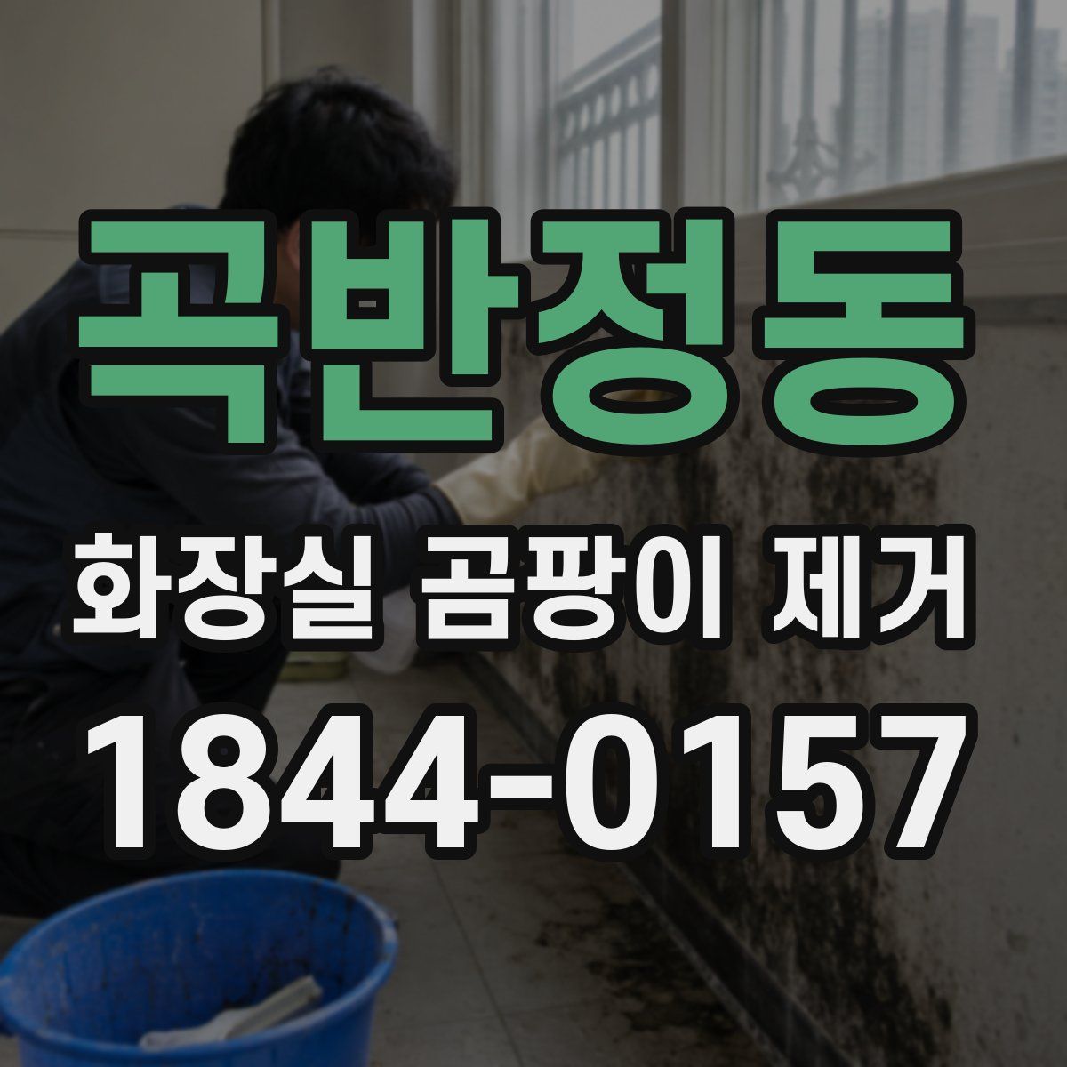 곡반정동 화장실 곰팡이 제거