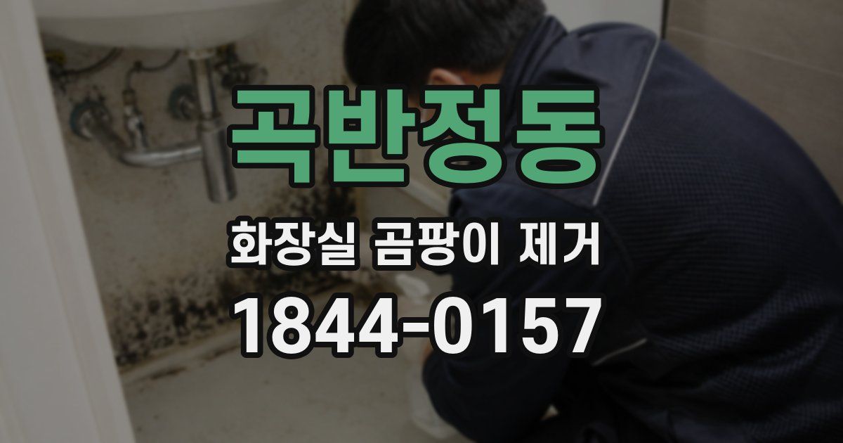 곡반정동 화장실 곰팡이 제거