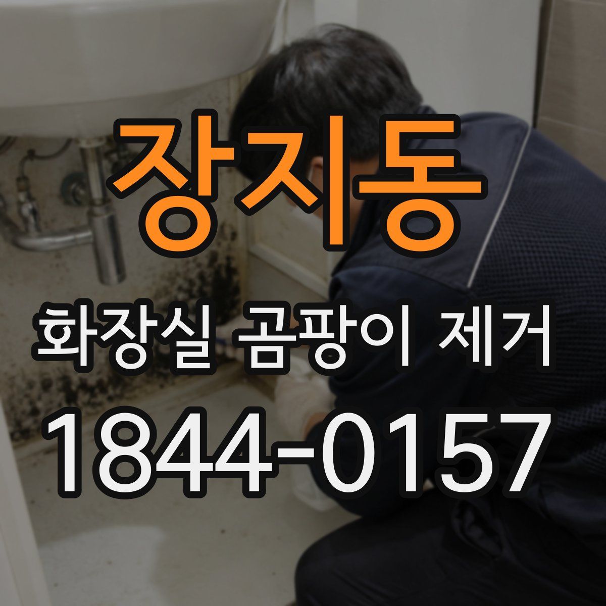 장지동 화장실 곰팡이 제거