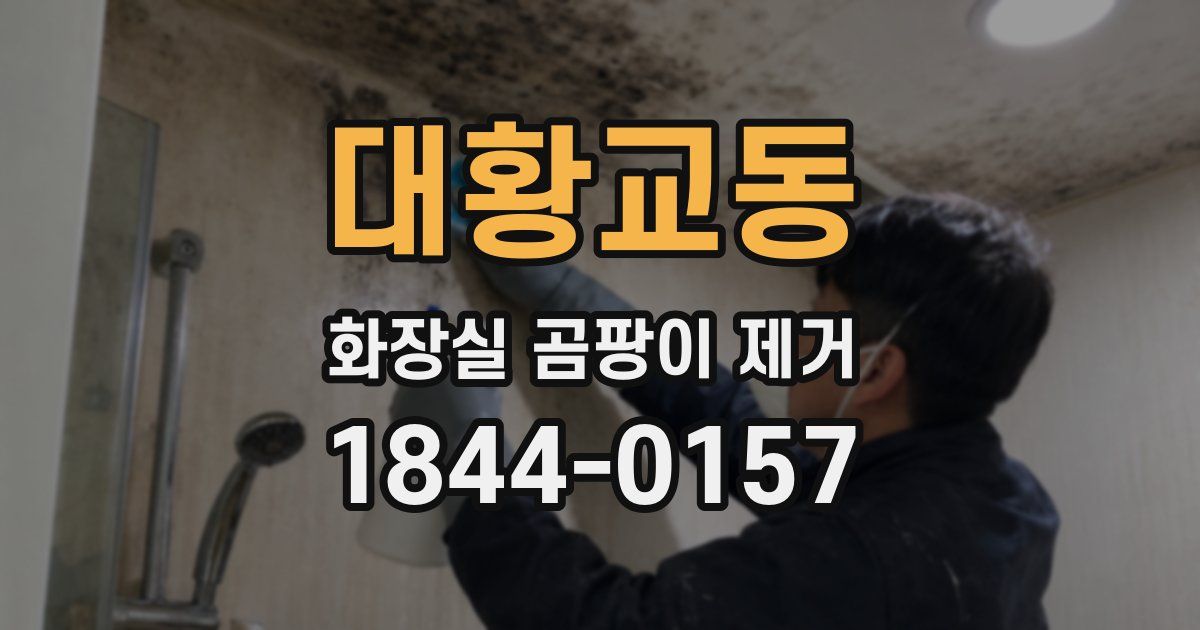 대황교동 화장실 곰팡이 제거