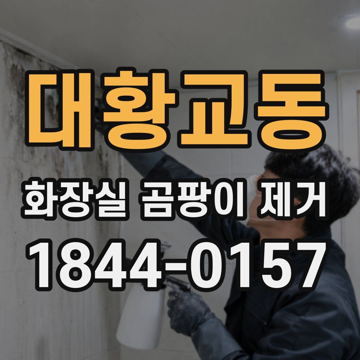 대황교동 화장실 곰팡이 제거
