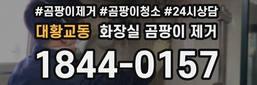 대황교동 화장실 곰팡이 제거