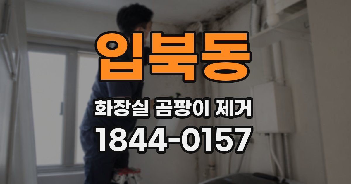 입북동 화장실 곰팡이 제거