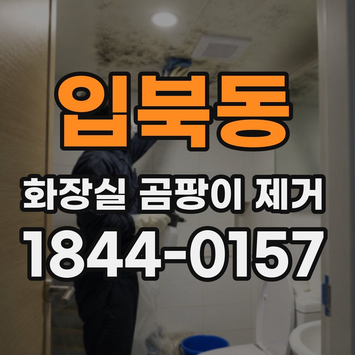 입북동 화장실 곰팡이 제거