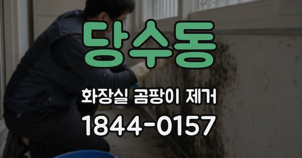 당수동 화장실 곰팡이 제거
