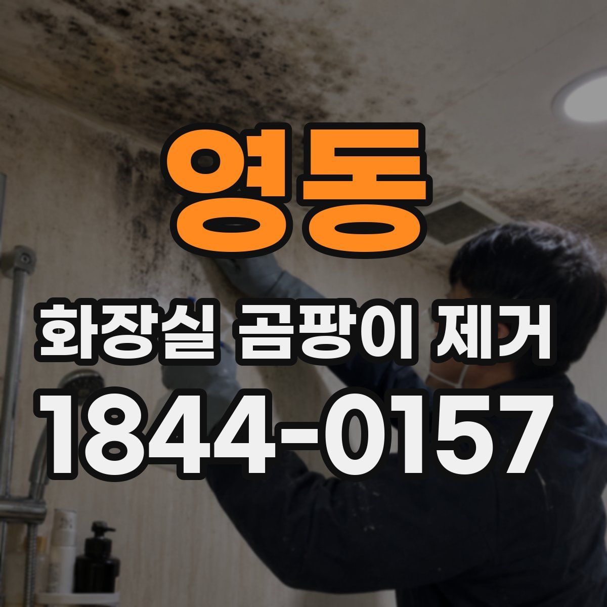 영동 화장실 곰팡이 제거