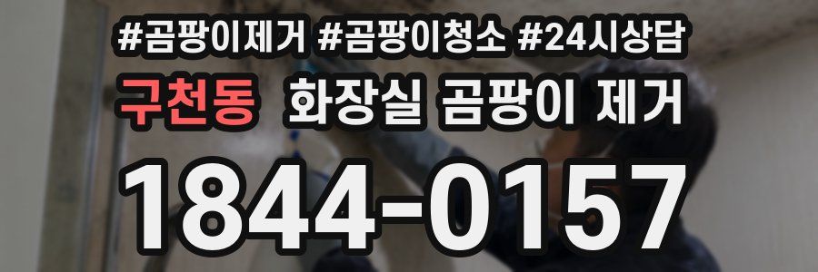 구천동 화장실 곰팡이 제거