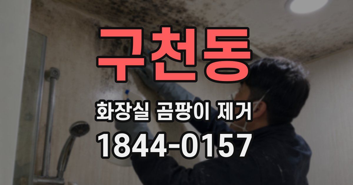 구천동 화장실 곰팡이 제거
