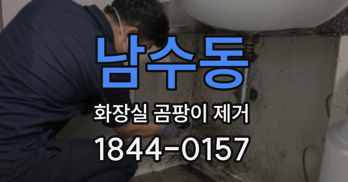남수동 화장실 곰팡이 제거