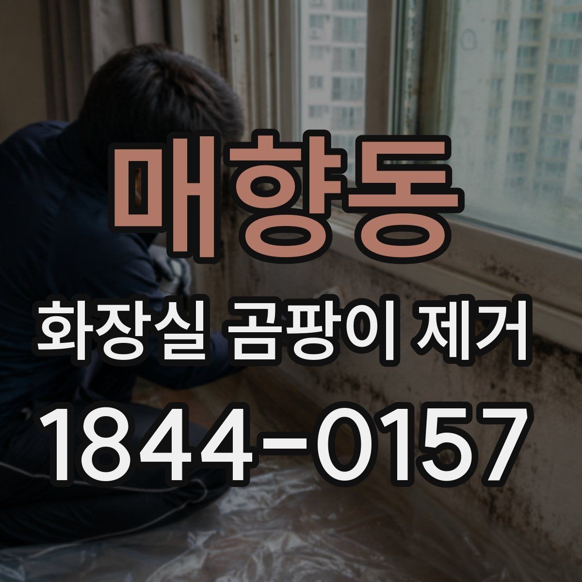 매향동 화장실 곰팡이 제거 셀프로 할지 전문가가 볼지 판단하는 기준
