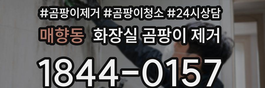 매향동 화장실 곰팡이 제거
