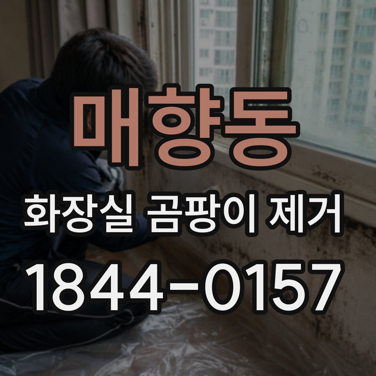 매향동 화장실 곰팡이 제거