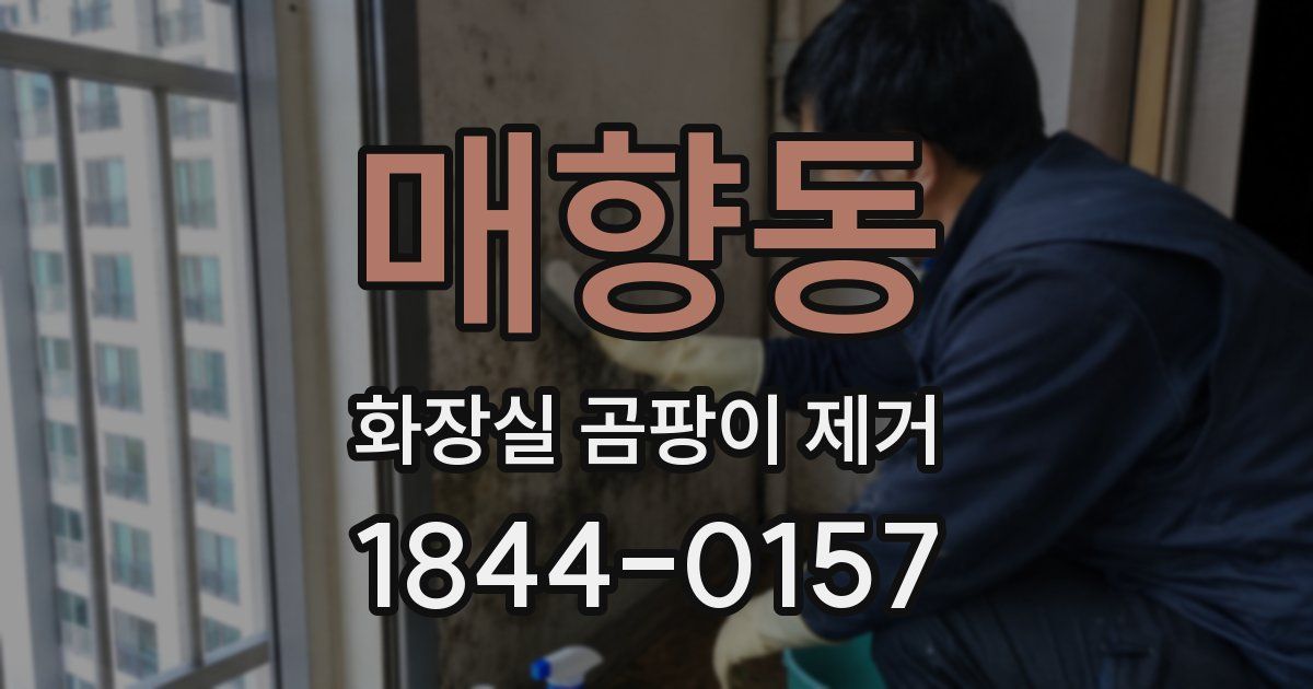 매향동 화장실 곰팡이 제거