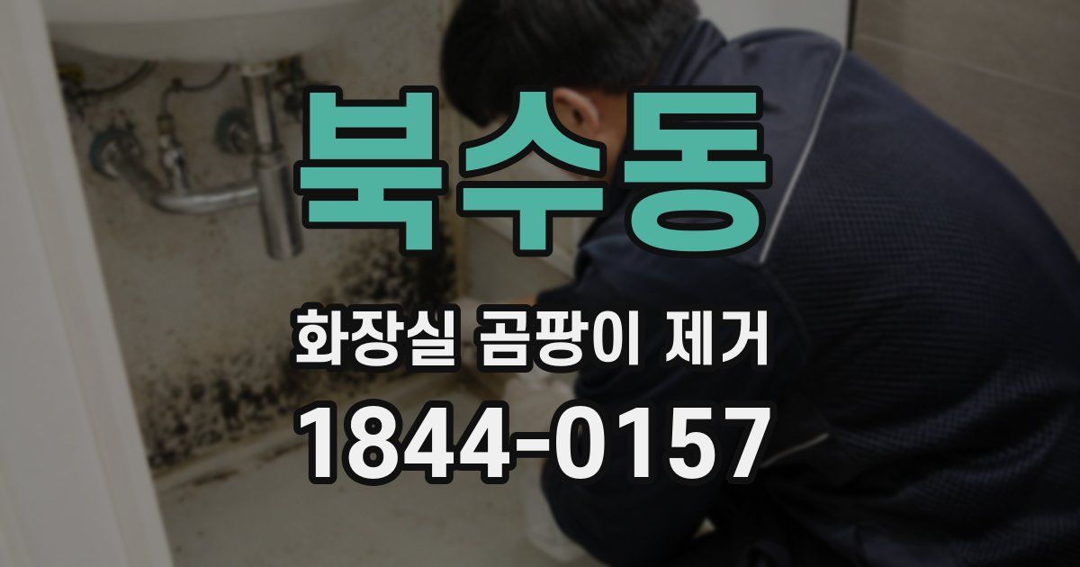 북수동 화장실 곰팡이 제거