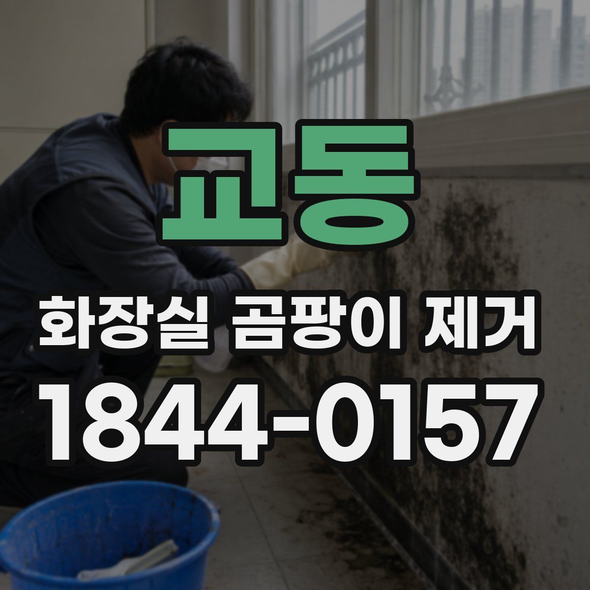 교동 화장실 곰팡이 제거