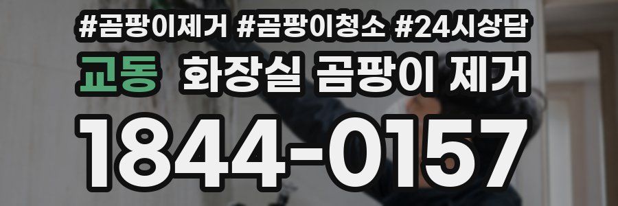 교동 화장실 곰팡이 제거