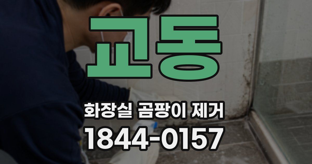 교동 화장실 곰팡이 제거
