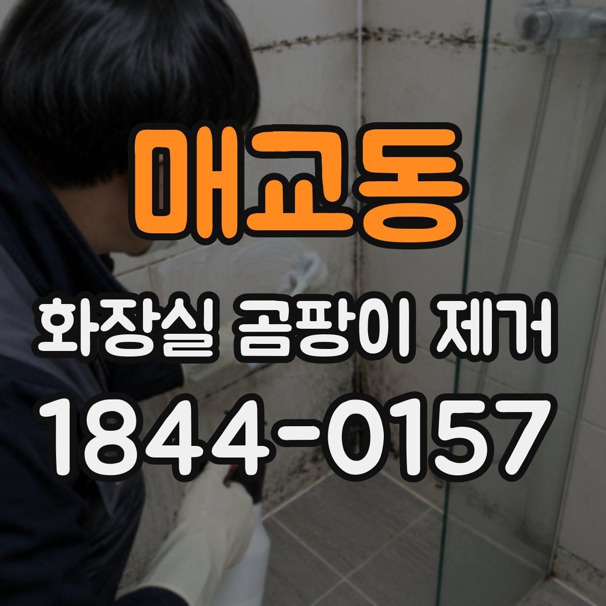 매교동 화장실 곰팡이 제거 자주 생기는 타일 틈새 집중 관리