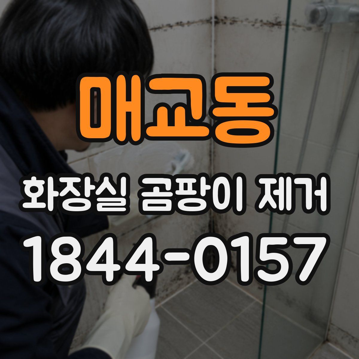 매교동 화장실 곰팡이 제거