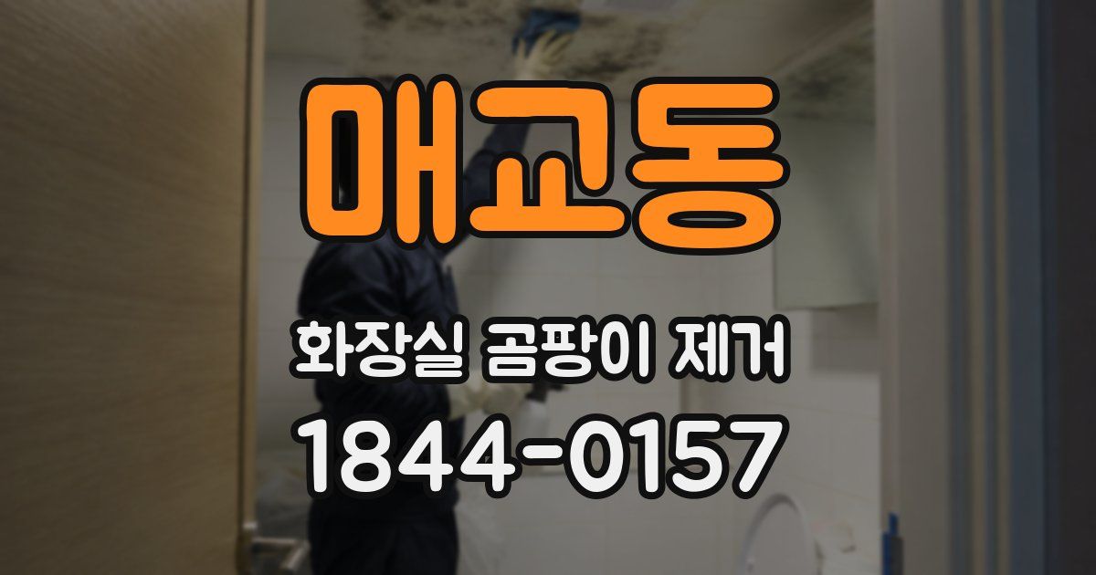 매교동 화장실 곰팡이 제거