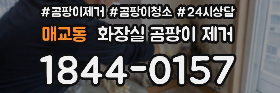 매교동 화장실 곰팡이 제거