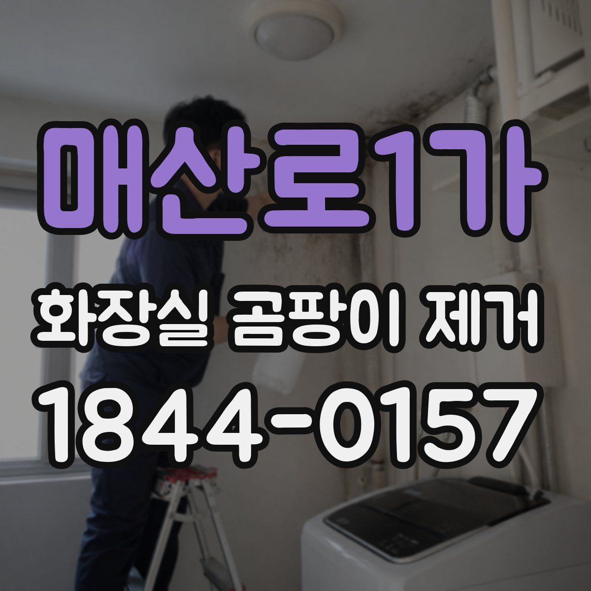 매산로1가 화장실 곰팡이 제거