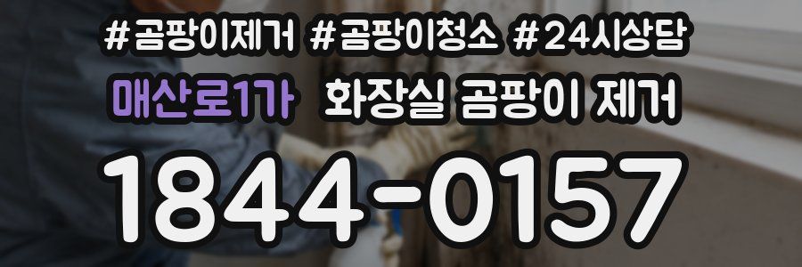 매산로1가 화장실 곰팡이 제거
