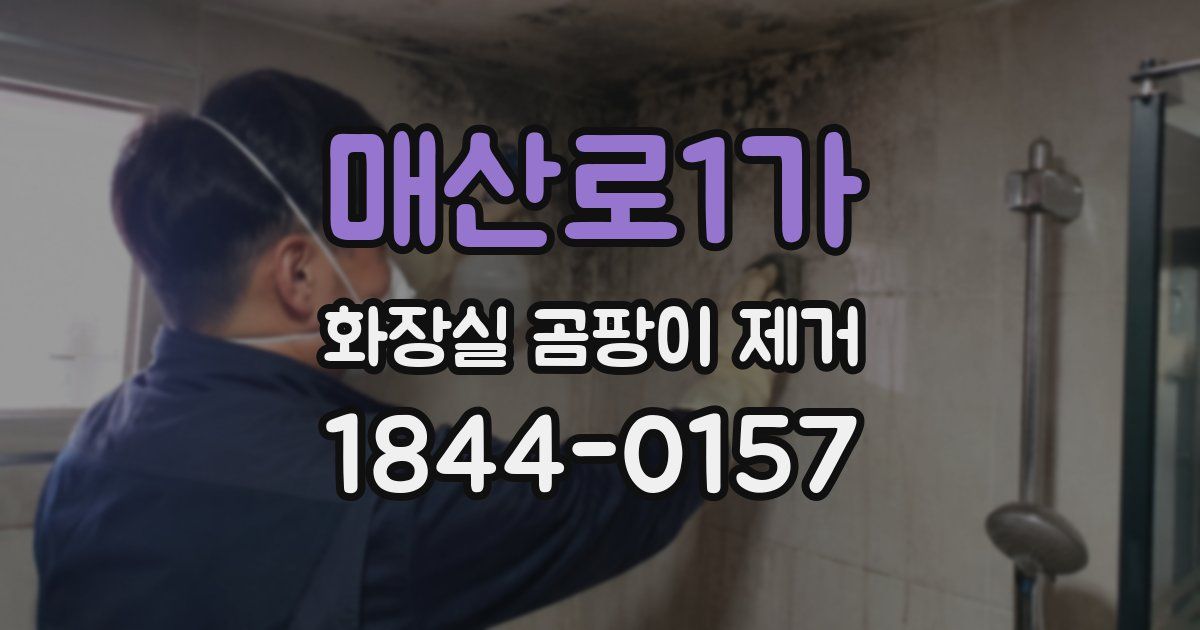 매산로1가 화장실 곰팡이 제거