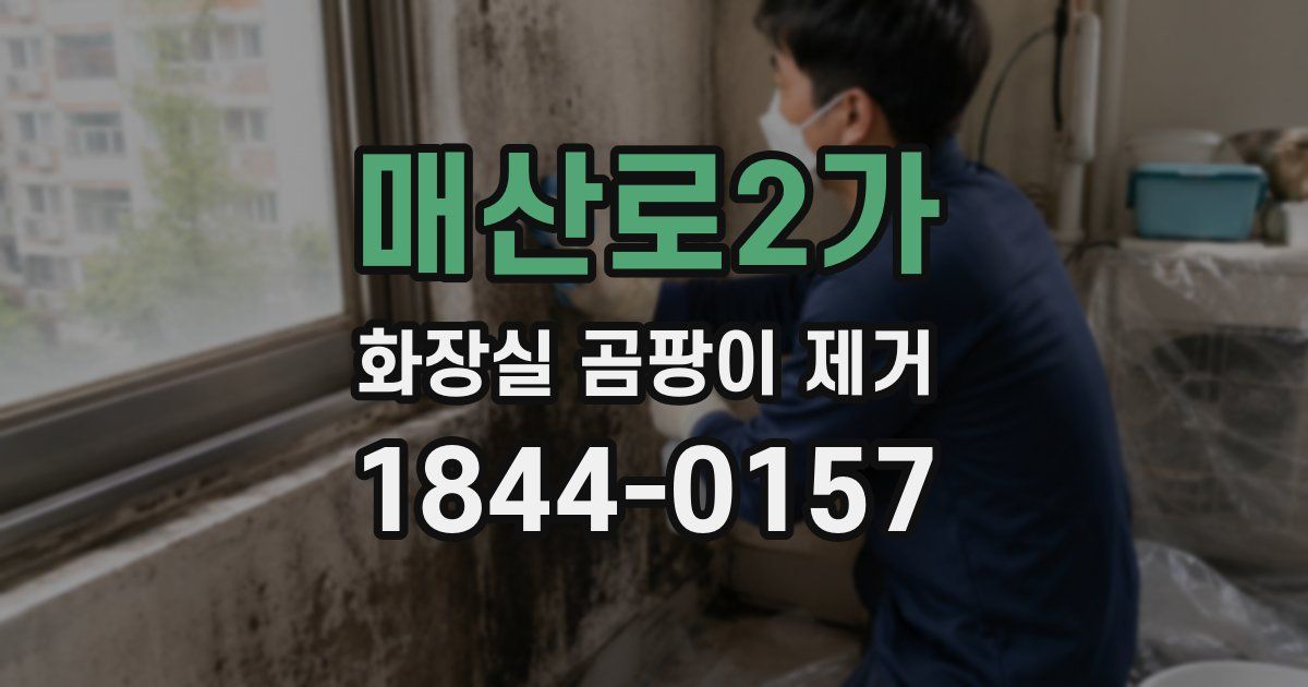 매산로2가 화장실 곰팡이 제거