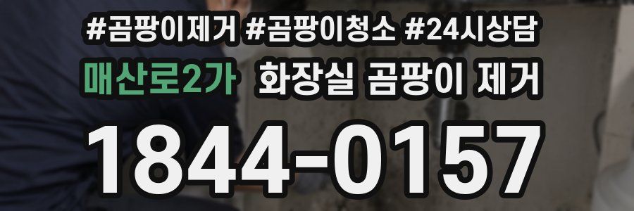 매산로2가 화장실 곰팡이 제거