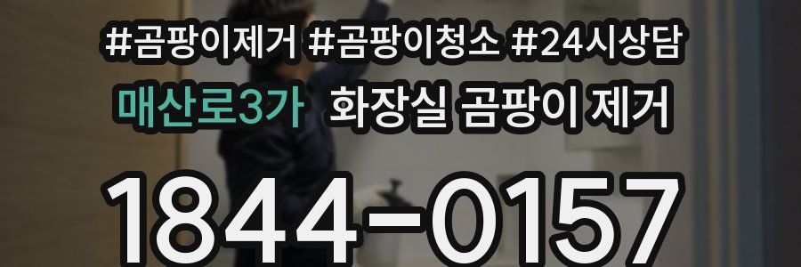 매산로3가 화장실 곰팡이 제거