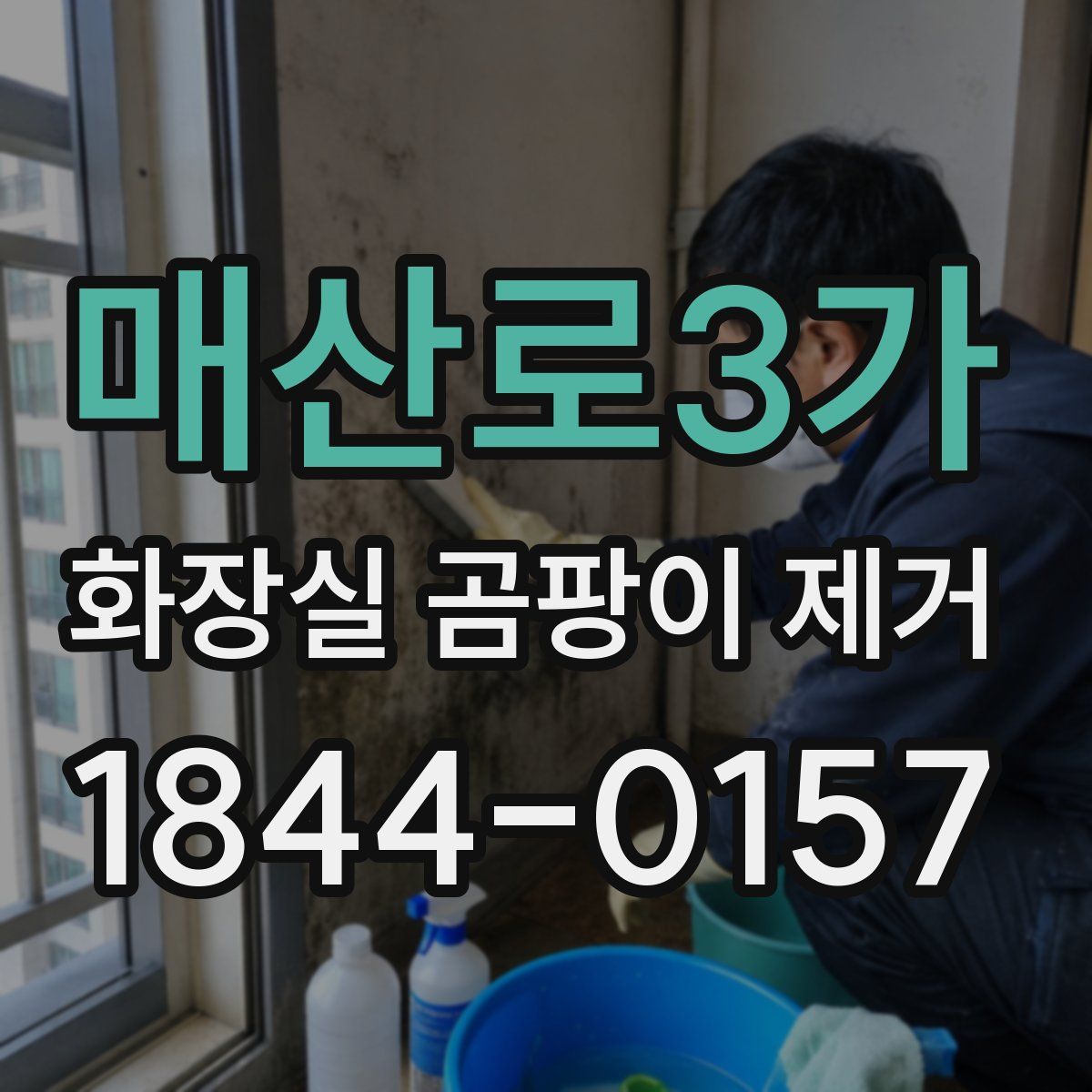 매산로3가 화장실 곰팡이 제거