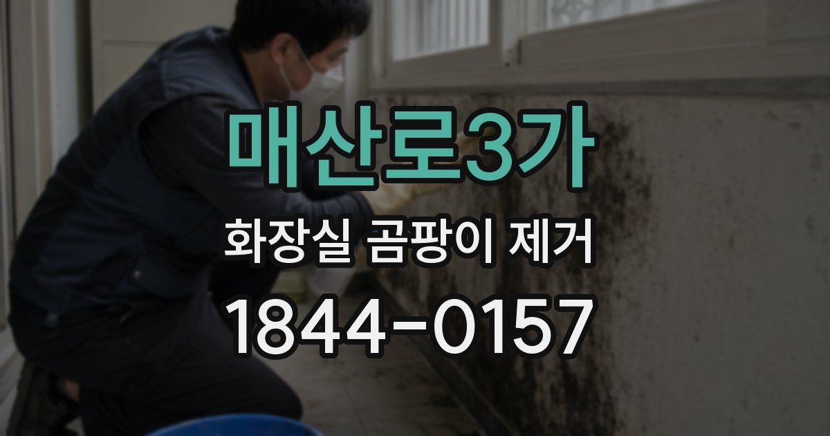 매산로3가 화장실 곰팡이 제거