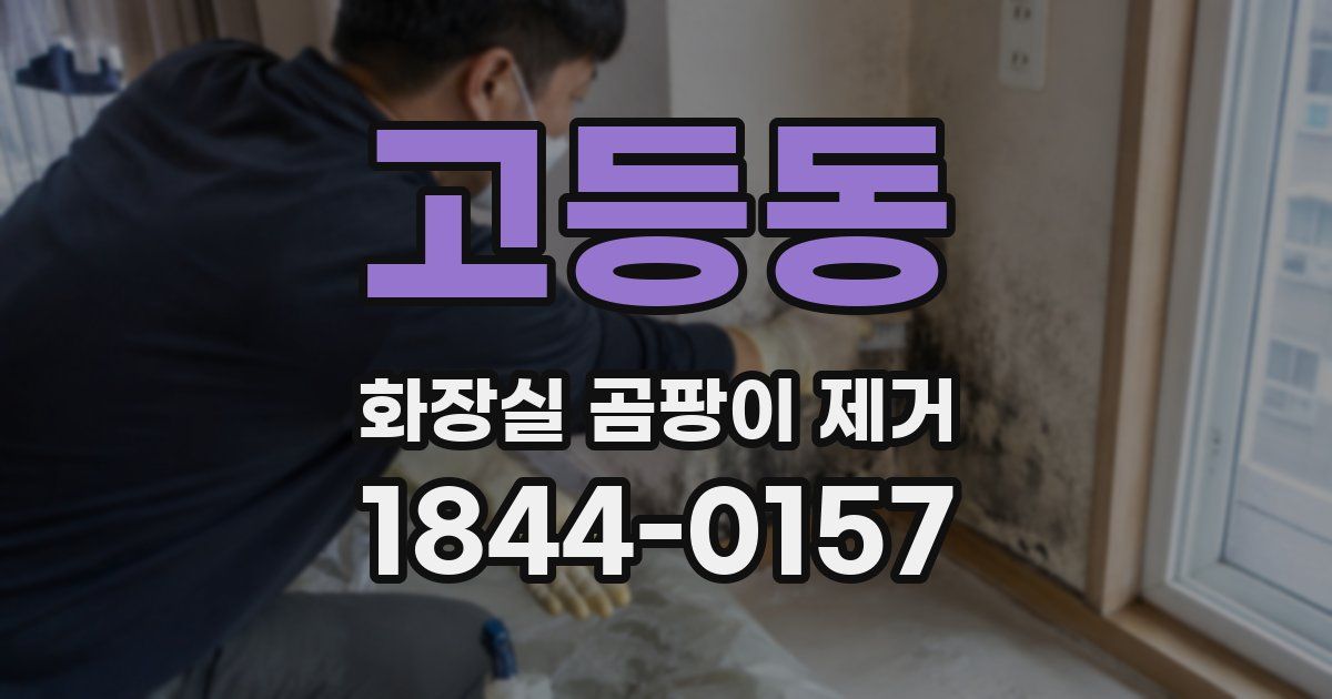 고등동 화장실 곰팡이 제거