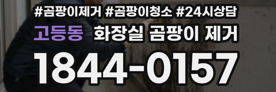 고등동 화장실 곰팡이 제거