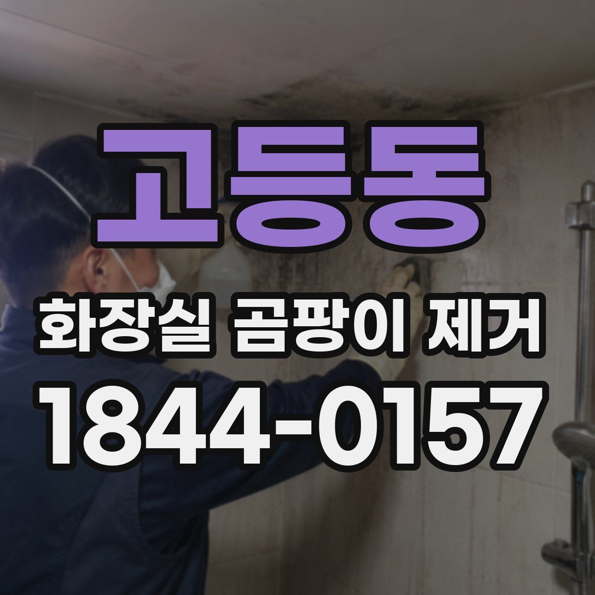 고등동 화장실 곰팡이 제거