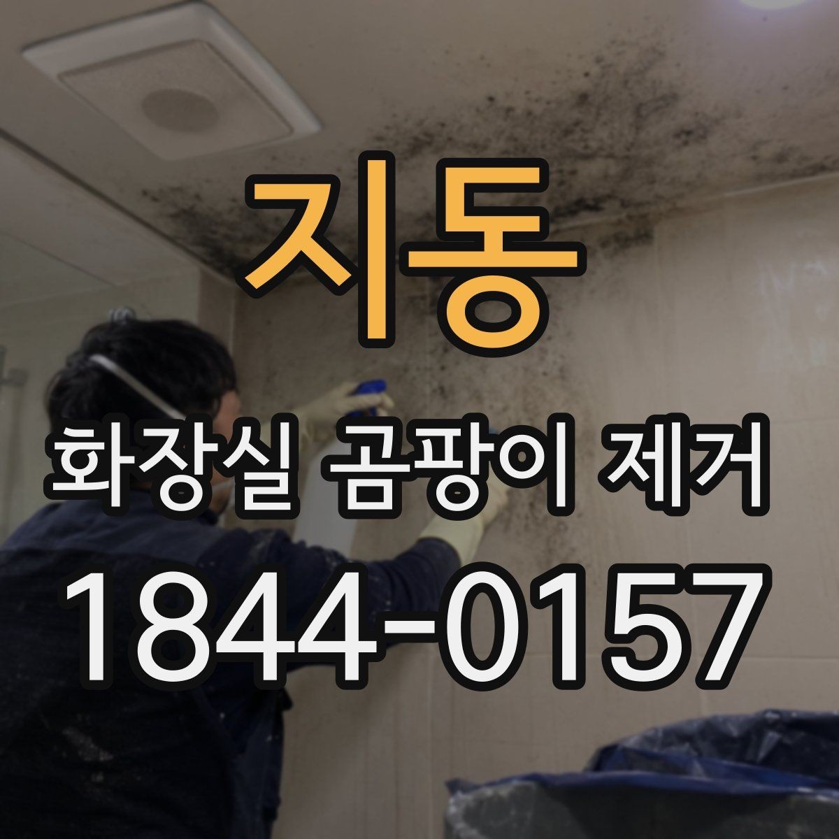 지동 화장실 곰팡이 제거 청소보다 먼저 누수와 습기를 보는 이유