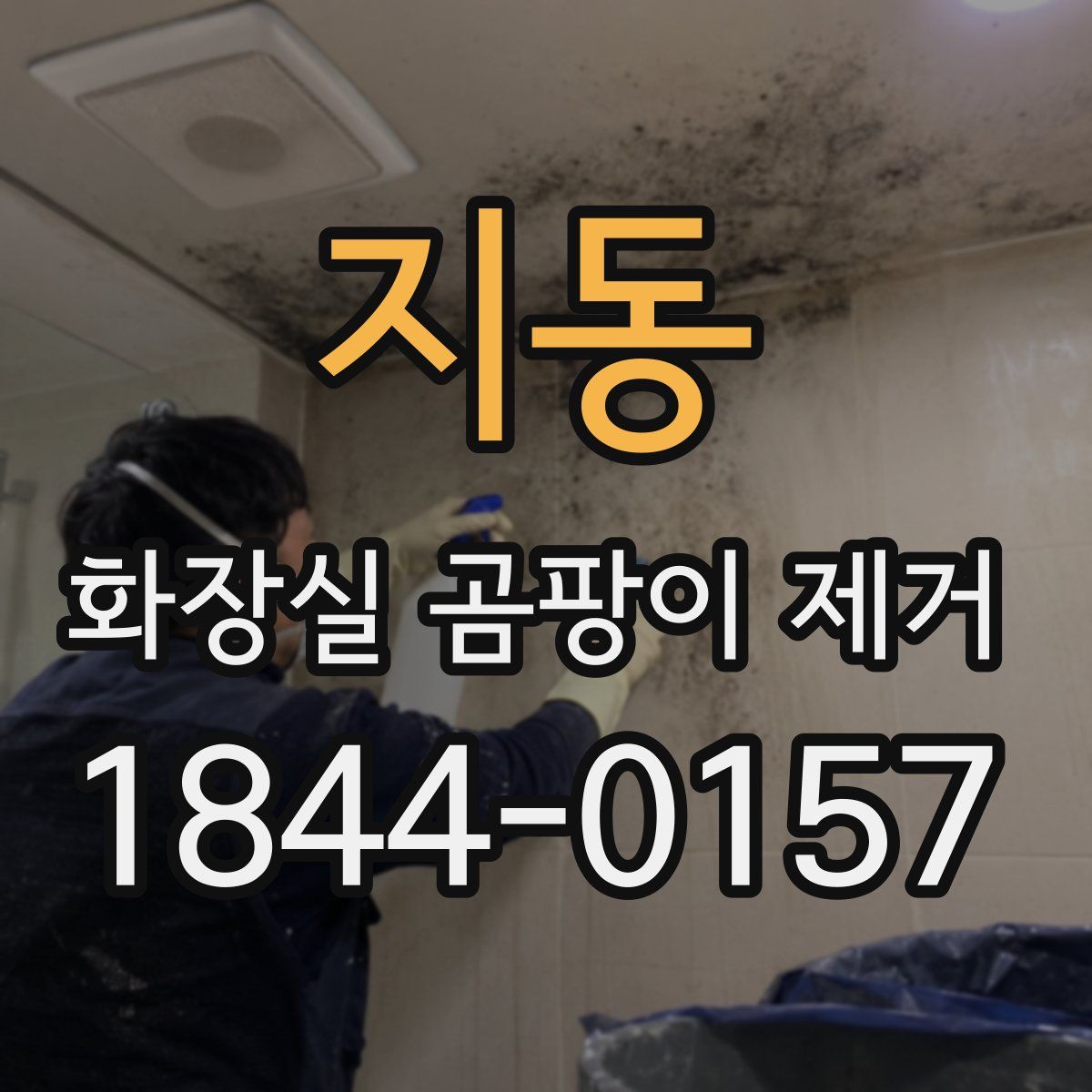 지동 화장실 곰팡이 제거