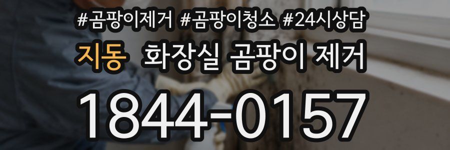 지동 화장실 곰팡이 제거