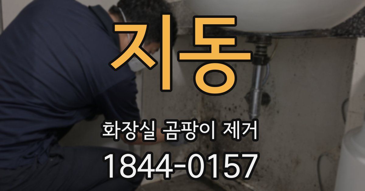 지동 화장실 곰팡이 제거