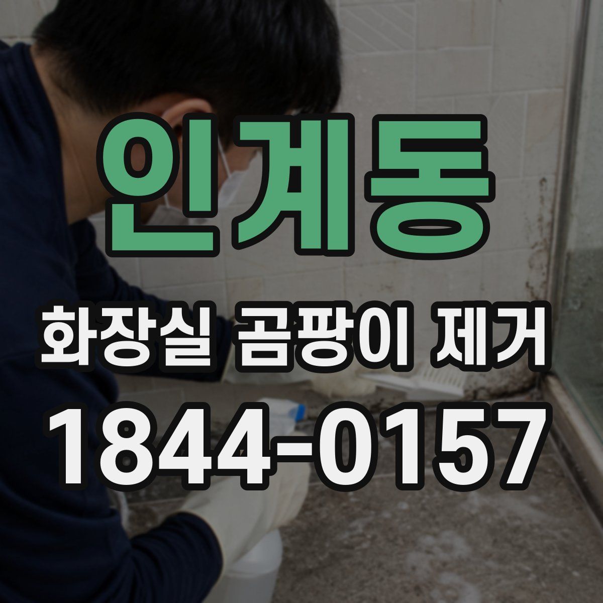 인계동 화장실 곰팡이 제거