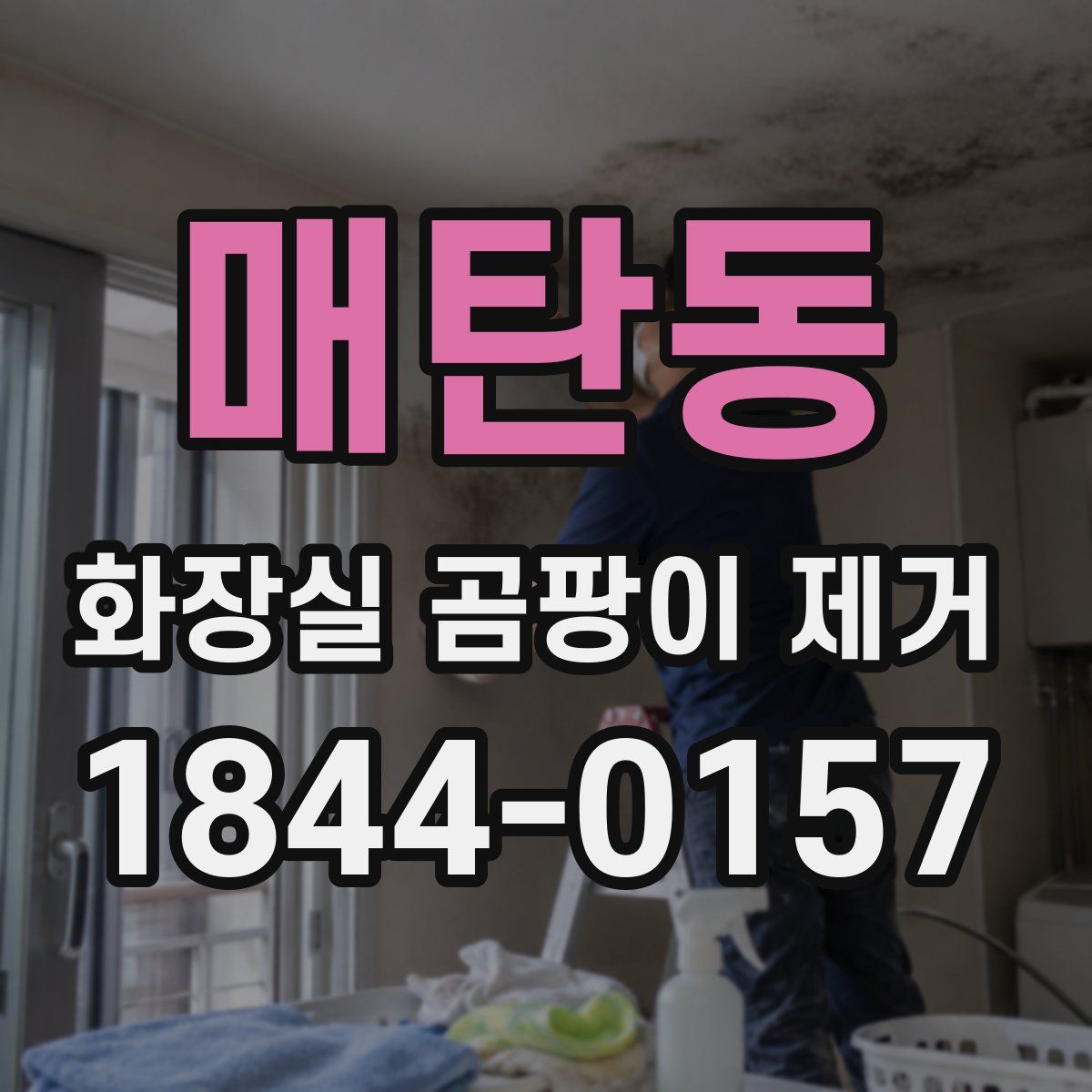 매탄동 화장실 곰팡이 제거