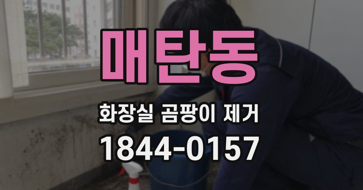 매탄동 화장실 곰팡이 제거