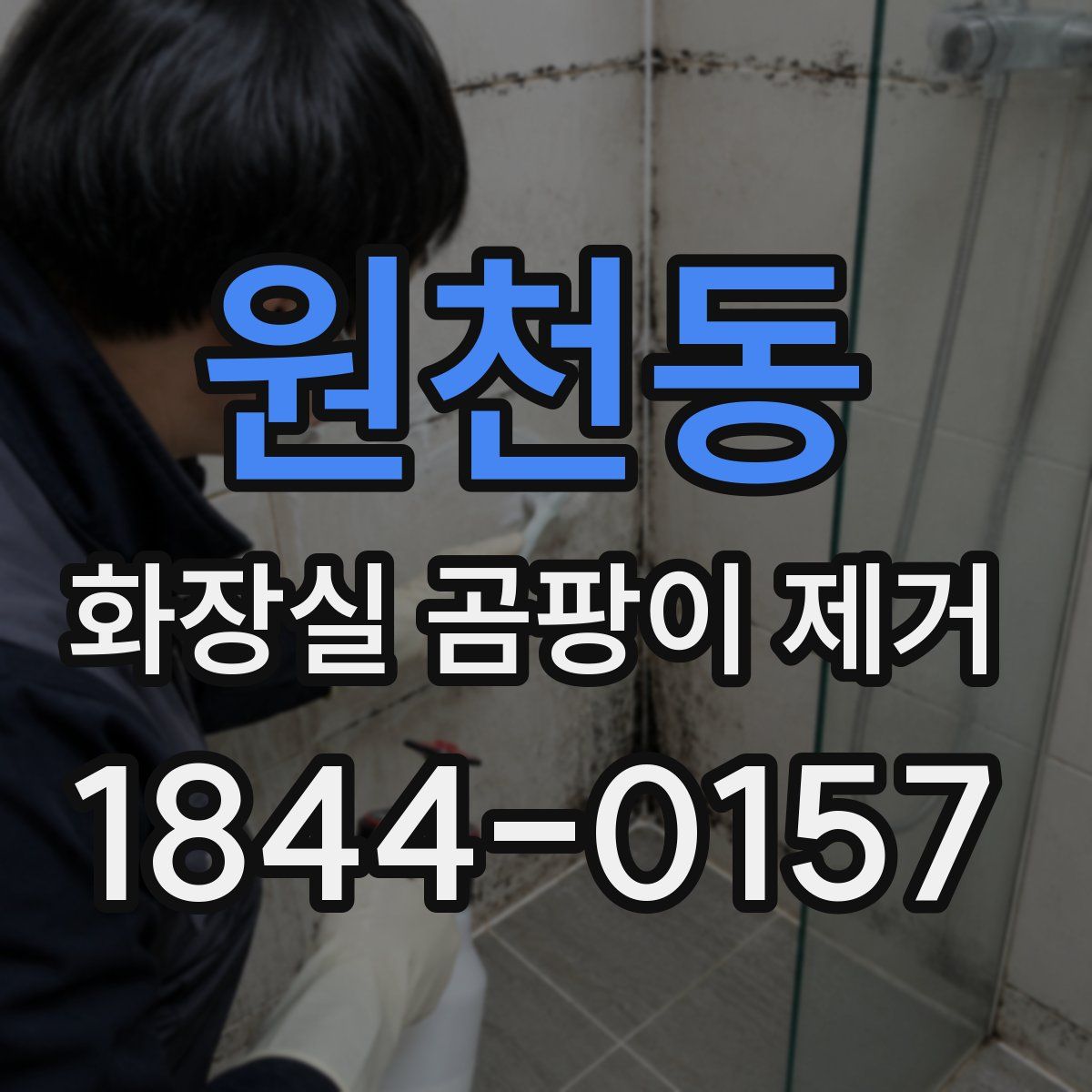 원천동 화장실 곰팡이 제거