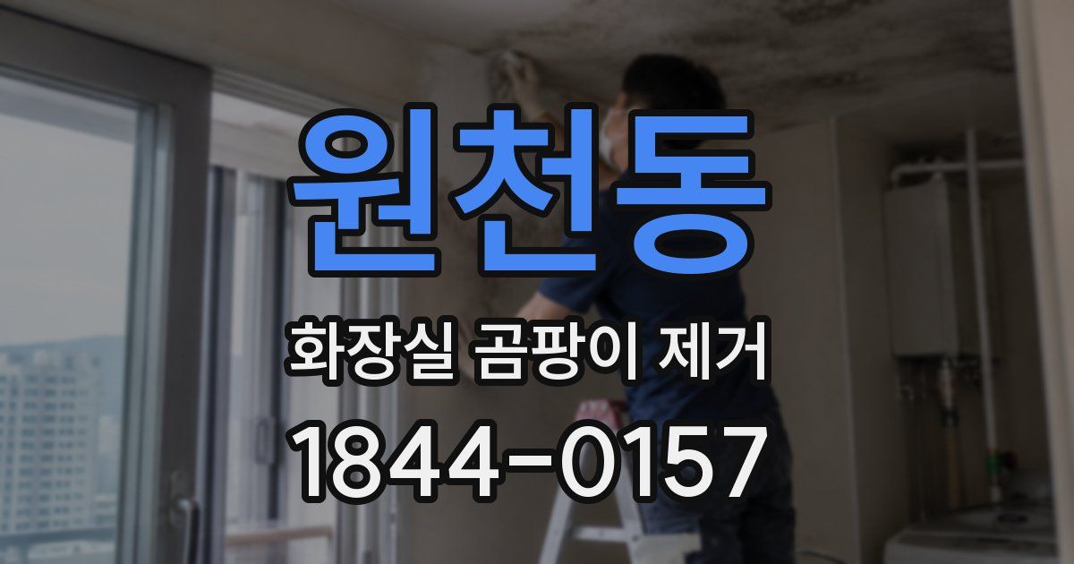 원천동 화장실 곰팡이 제거
