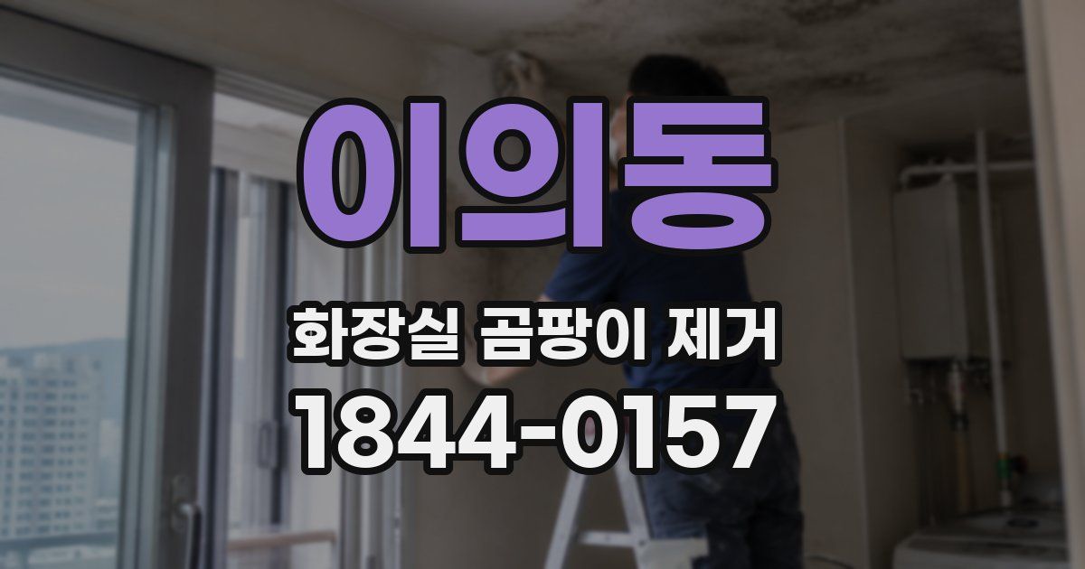 이의동 화장실 곰팡이 제거